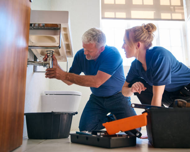 Best Toilet Repair Services  in Scottville, MI
